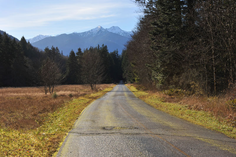 DSC_0581_OlympicNP