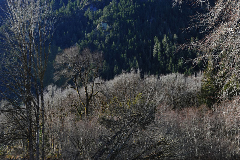 DSC_0589_OlympicNP