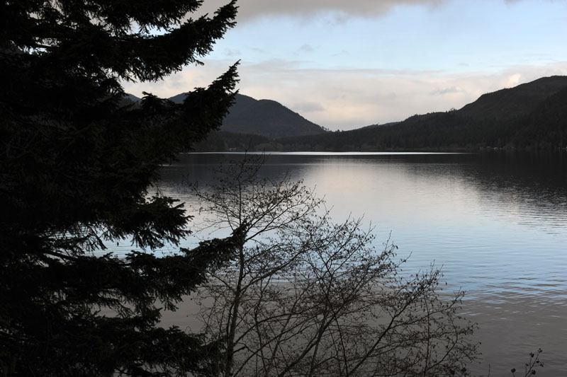 DSC_0651_OlympicNP