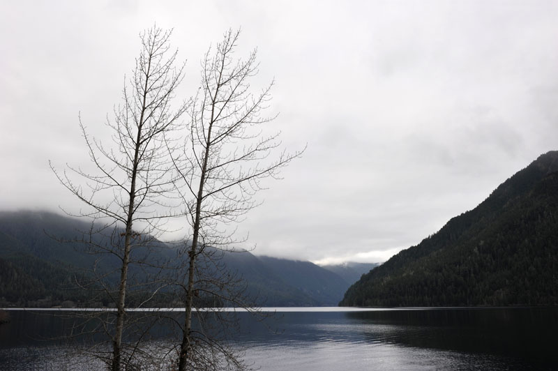 DSC_0656_OlympicNP
