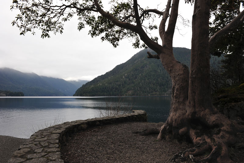 DSC_0657_OlympicNP