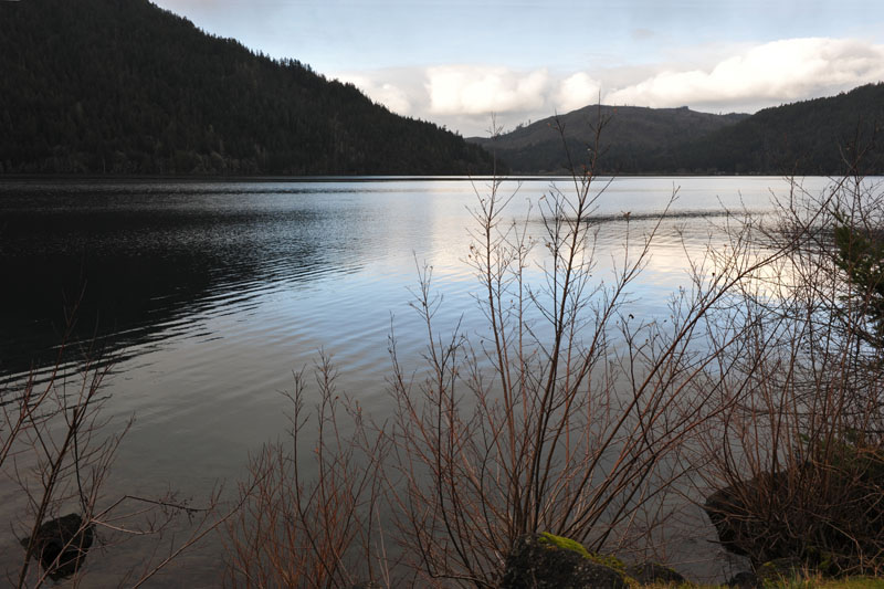 DSC_0675_OlympicNP