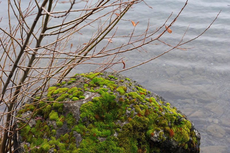 DSC_0685_OlympicNP