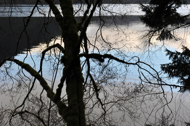 DSC_0703_OlympicNP