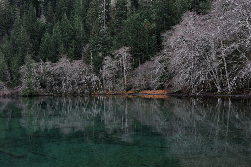 DSC_0716_OlympicNP