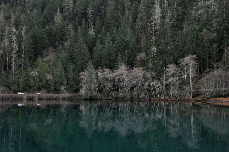 DSC_0724_OlympicNP