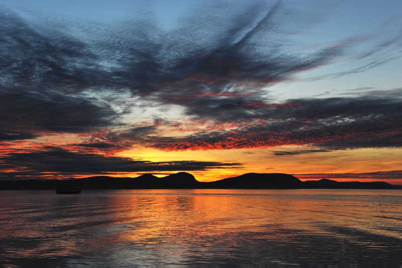 DSC_1118_SanJuanIslandsWA