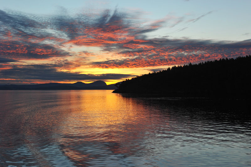 DSC_1146_SanJuanIslandsWA