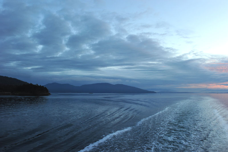 DSC_1151_SanJuanIslandsWA