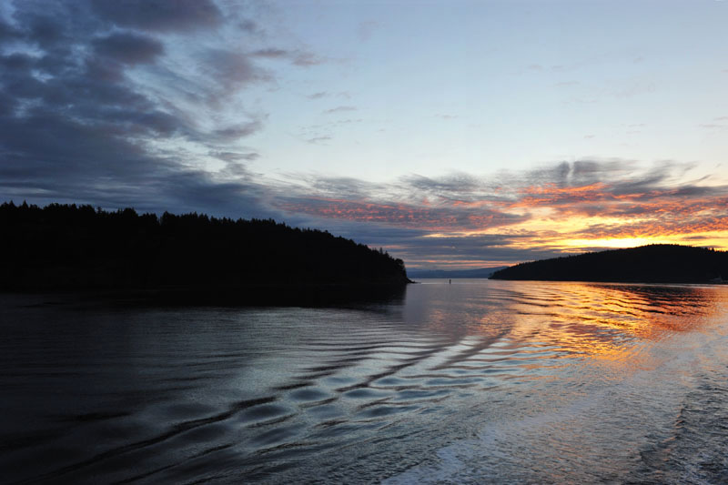 DSC_1159_SanJuanIslandsWA