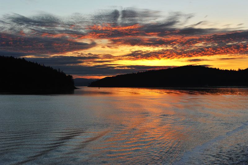 DSC_1162_SanJuanIslandsWA