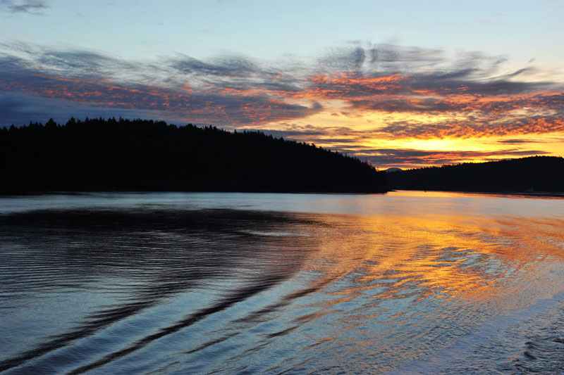 DSC_1167_SanJuanIslandsWA