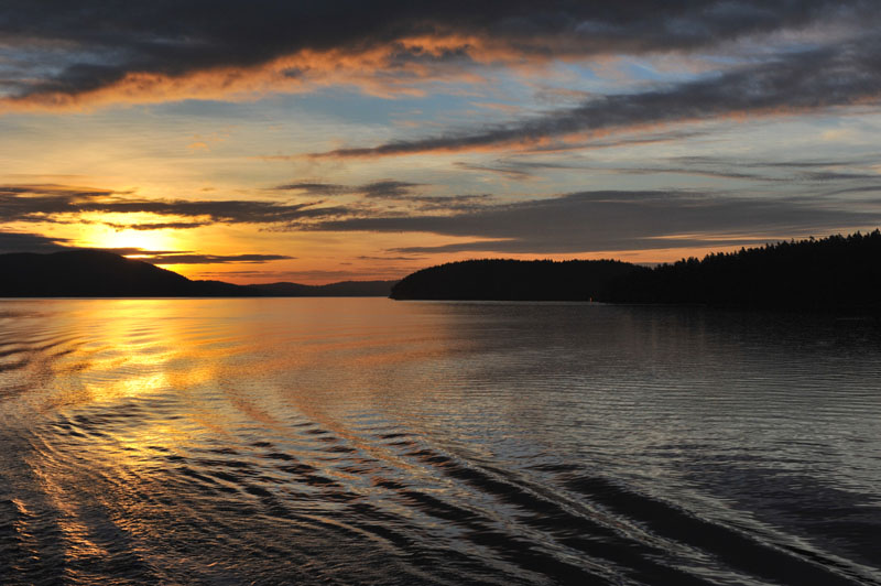 DSC_1202_SanJuanIslandsWA