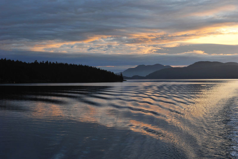 DSC_1225_SanJuanIslandsWA