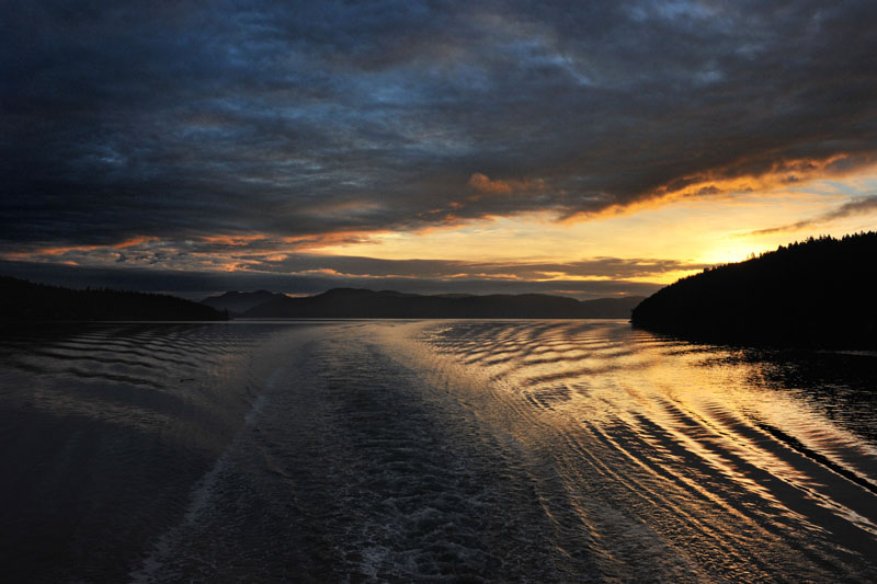 DSC_1231_SanJuanIslandsWA
