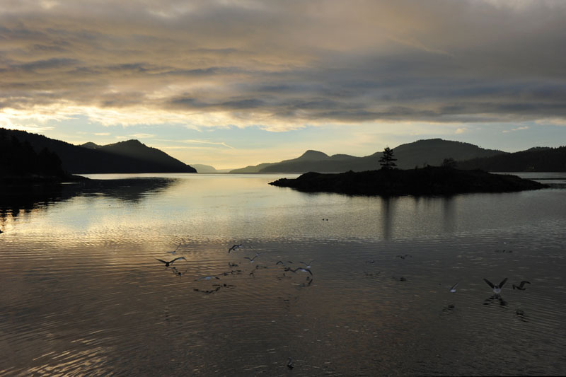 DSC_1237_SanJuanIslandsWA