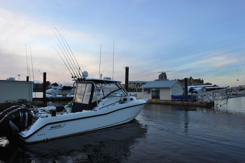 DSC_1478_VictoriaBC