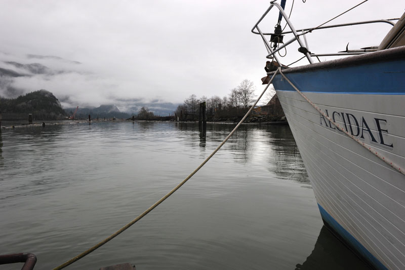 DSC_2100_SquamishBC