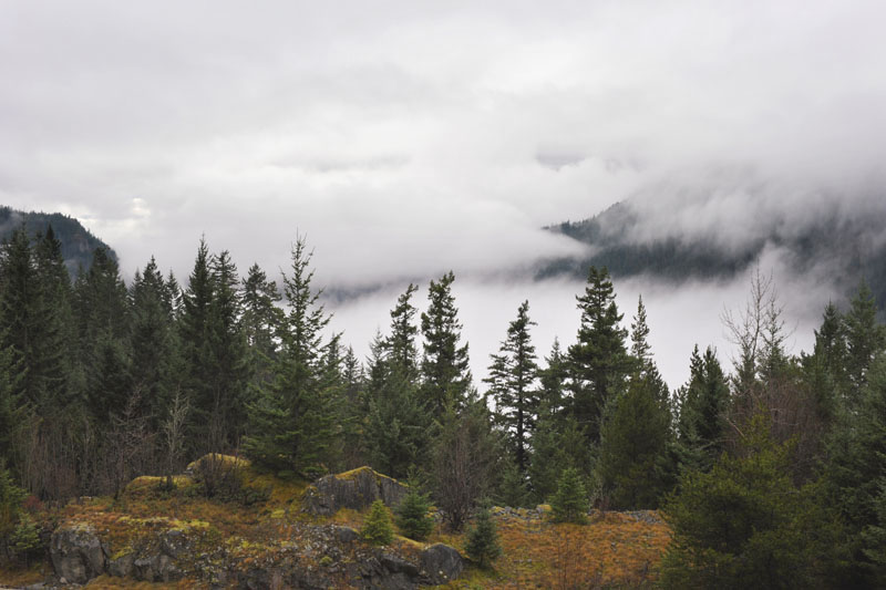 DSC_2136_WhistlerBC