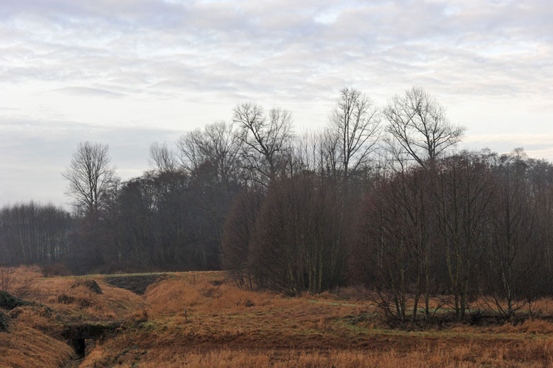 DSC_2452_HW5WA