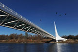 DSC_0020_ReddingCA