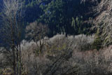 DSC_0589_OlympicNP