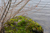 DSC_0685_OlympicNP