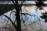 DSC_0703_OlympicNP