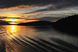 DSC_1218_SanJuanIslandsWA