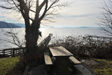 DSC_1281_SanJuanIslandsWA