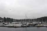 DSC_1412_VictoriaBC