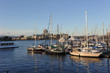DSC_1434_VictoriaBC