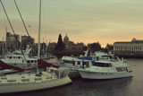 DSC_1495a_VictoriaBC