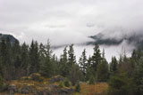 DSC_2136_WhistlerBC