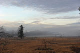 DSC_2455_HW5WA