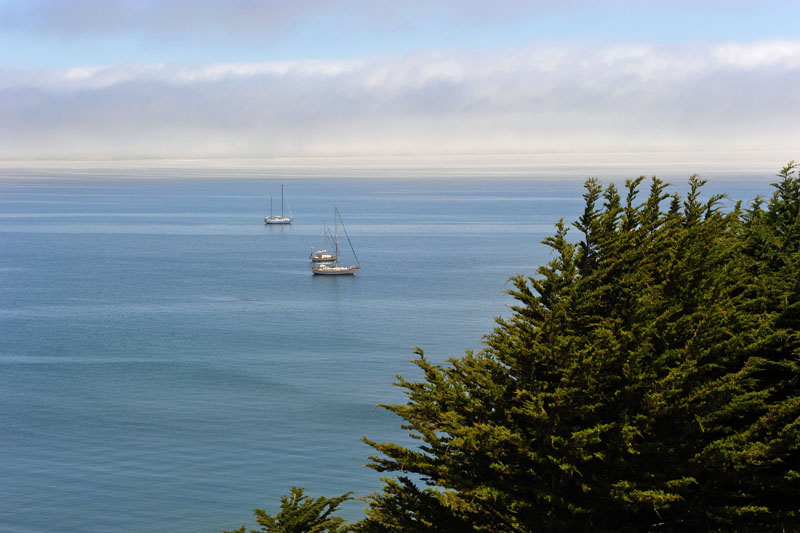 DSC_0101