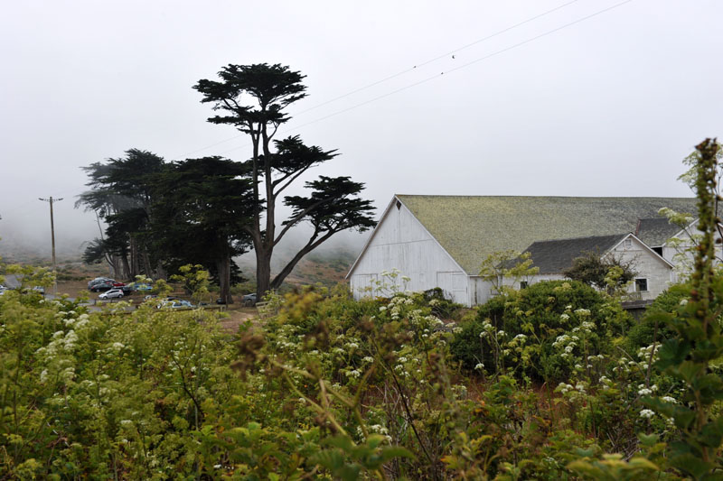 DSC_0152