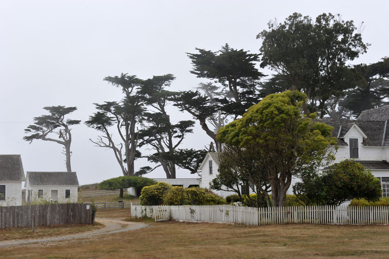 DSC_0162