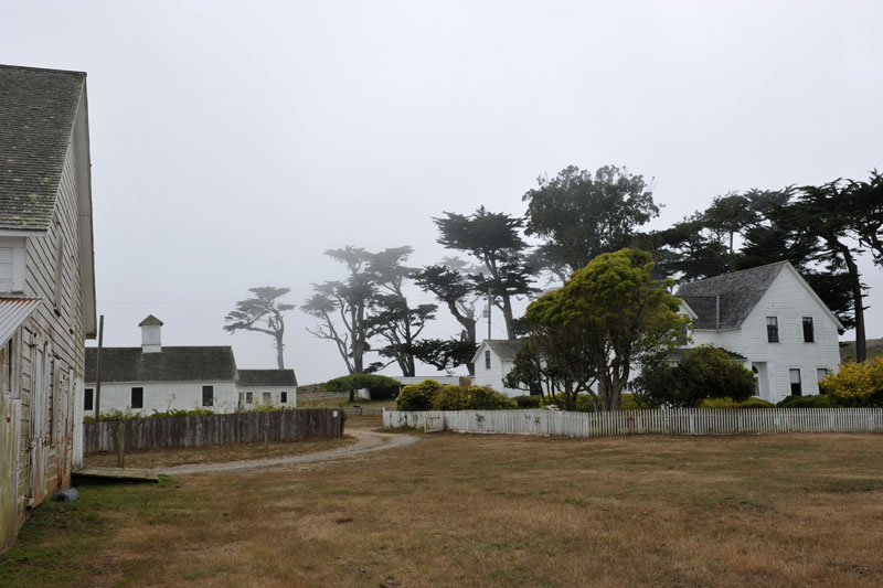 DSC_0166