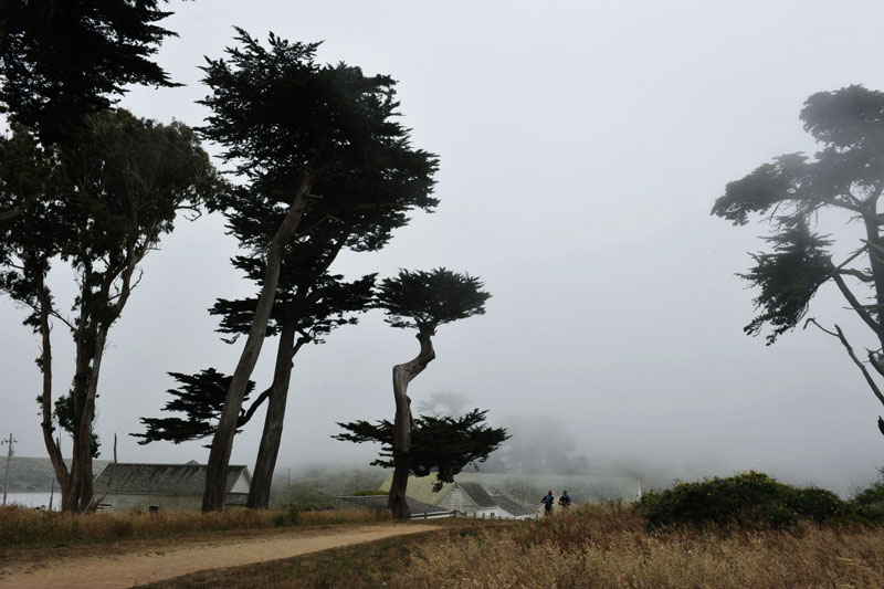 DSC_0221