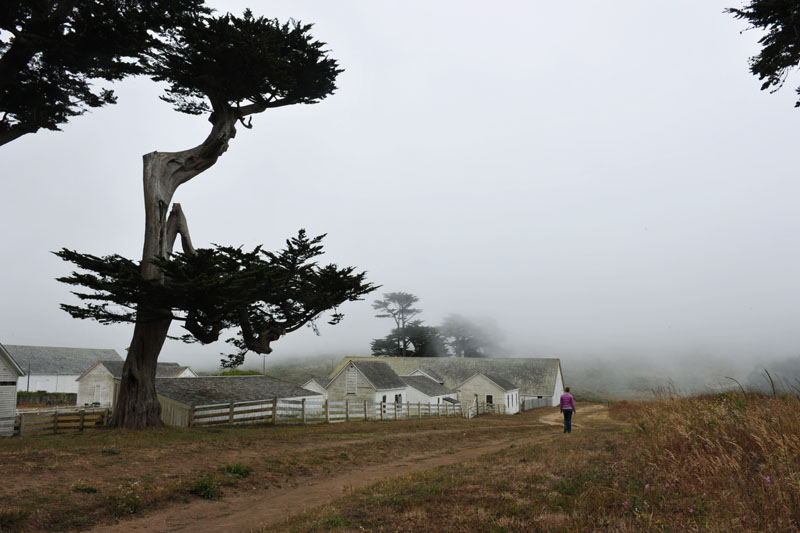 DSC_0256a