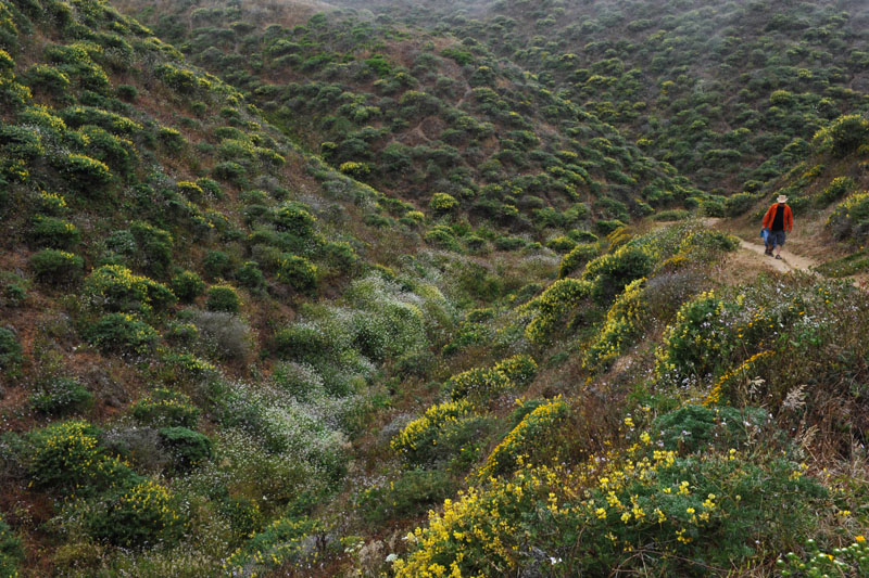 DSC_0282