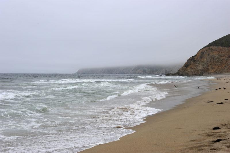 DSC_0286