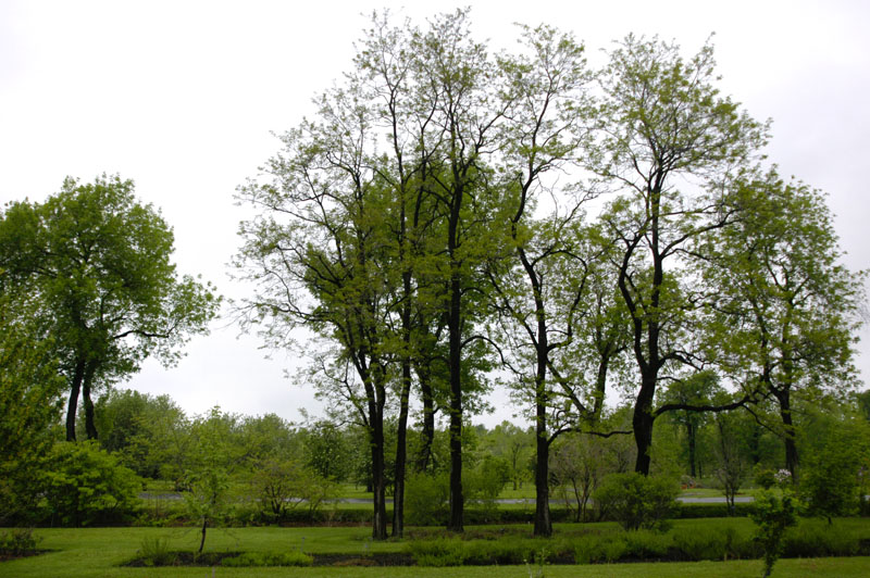 102-JardinBotaniqueMontreal