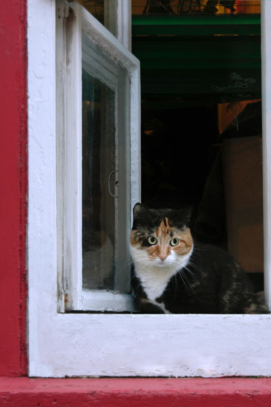 227-KittyVieuQuebec