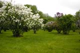 100-JardinBotaniqueMontreal