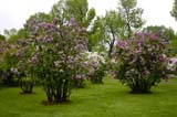 101-JardinBotaniqueMontreal