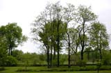 102-JardinBotaniqueMontreal