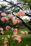 104-JardinBotaniqueMontreal