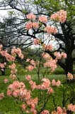 106-JardinBotaniqueMontreal